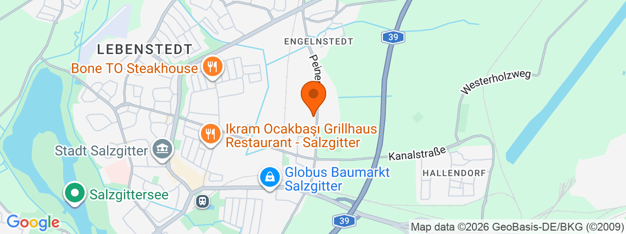 Map preview for Salzgitter